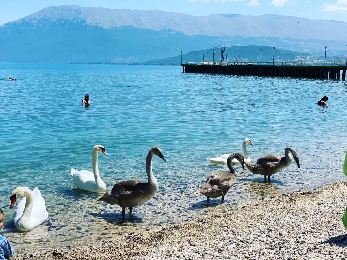 Syzo Apartments Pogradec Eksteriør bilde